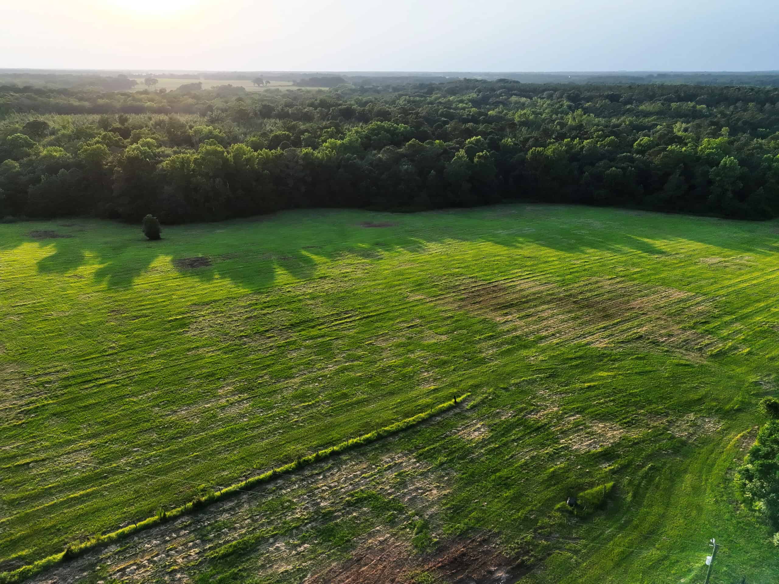 Cotton House Tract: premier 545ac hunting & recreational property in Randolph Cty