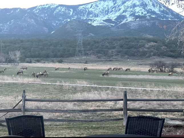 Elk Vista Ranch: Mountain Home & Acreage For Sale in Paonia, CO