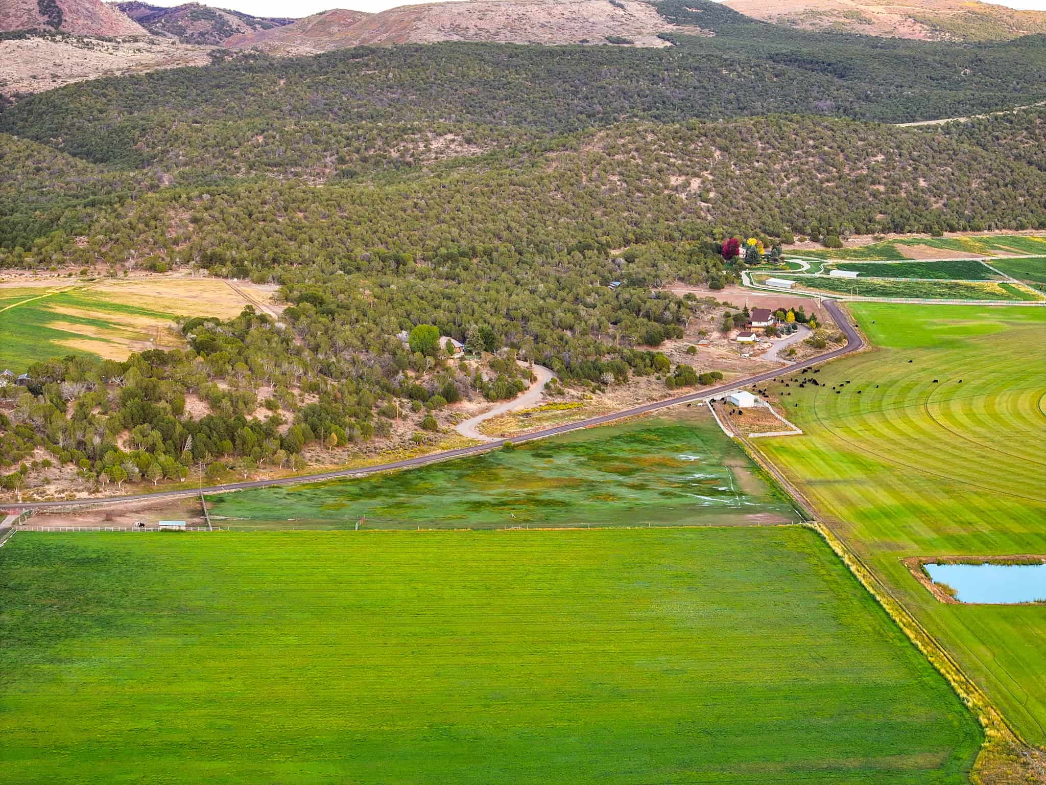 Colorado Horse Property with Multiple Homes & Irrigated Land