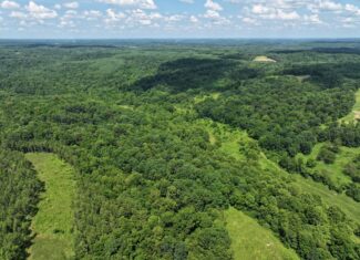 Secluded Turnkey Hunting Property