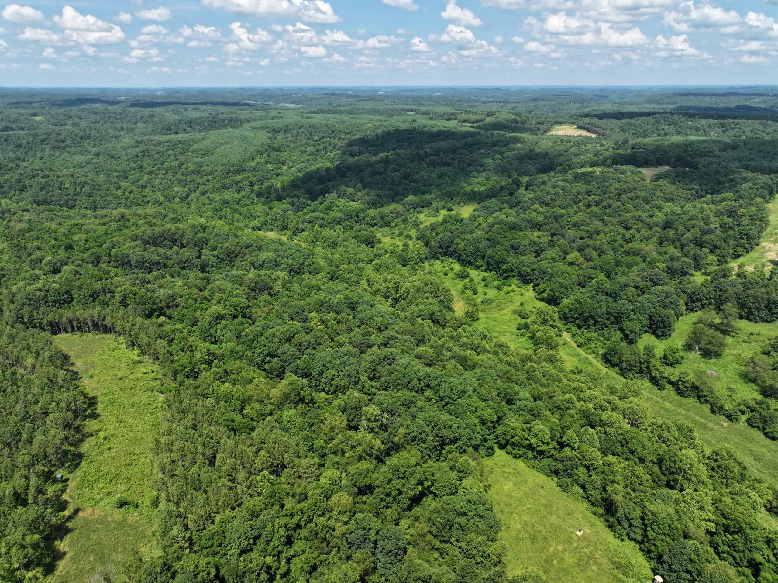 Secluded Turnkey Hunting Property