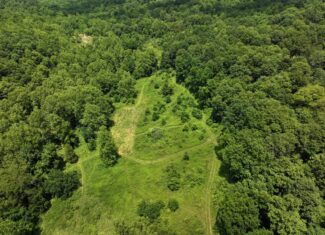 Dream Turnkey Morgan County Hunting Property