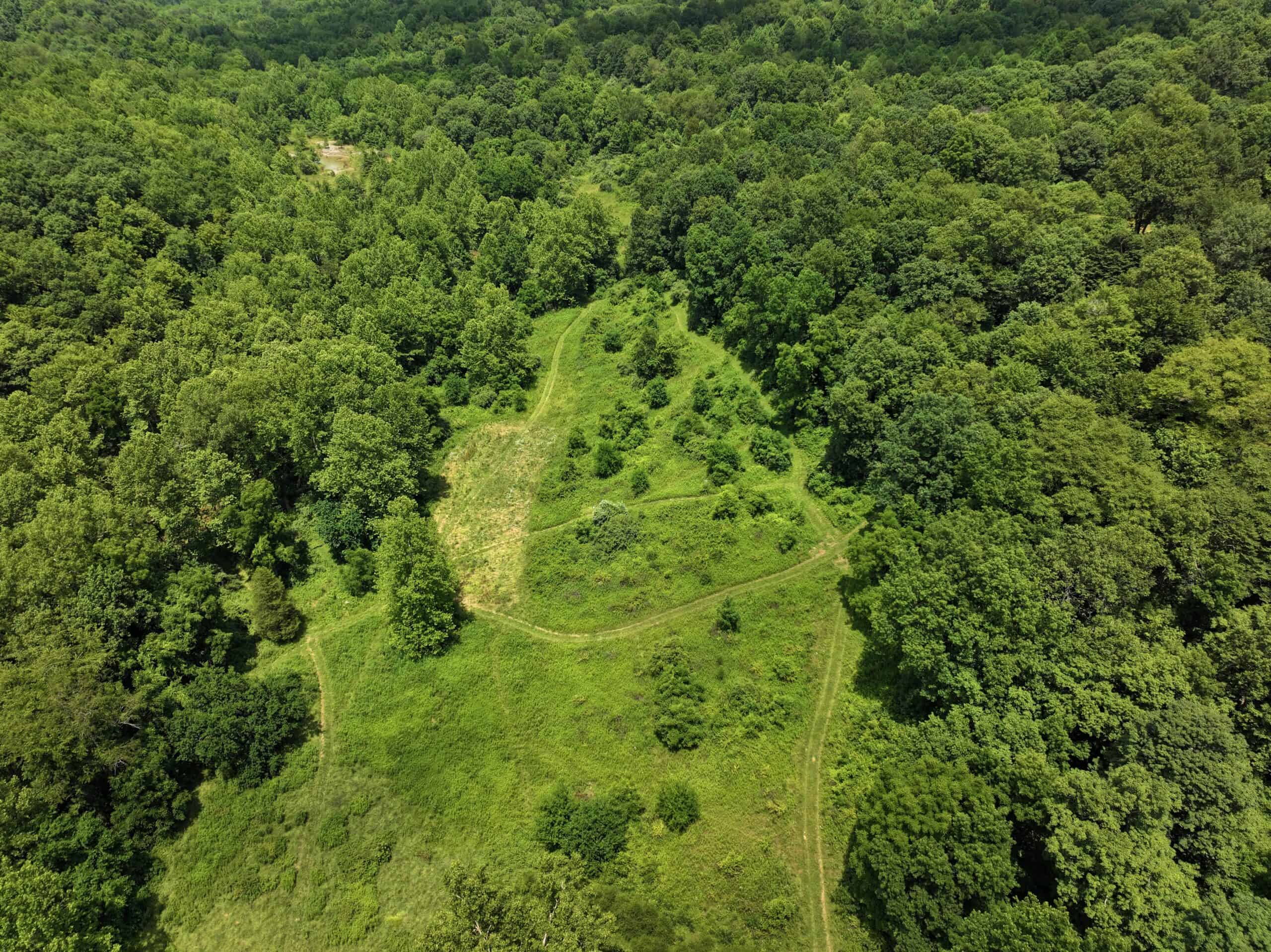 Dream Turnkey Morgan County Hunting Property