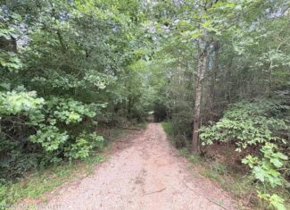 57 Acres Hunting Land for Sale in Gloster MS