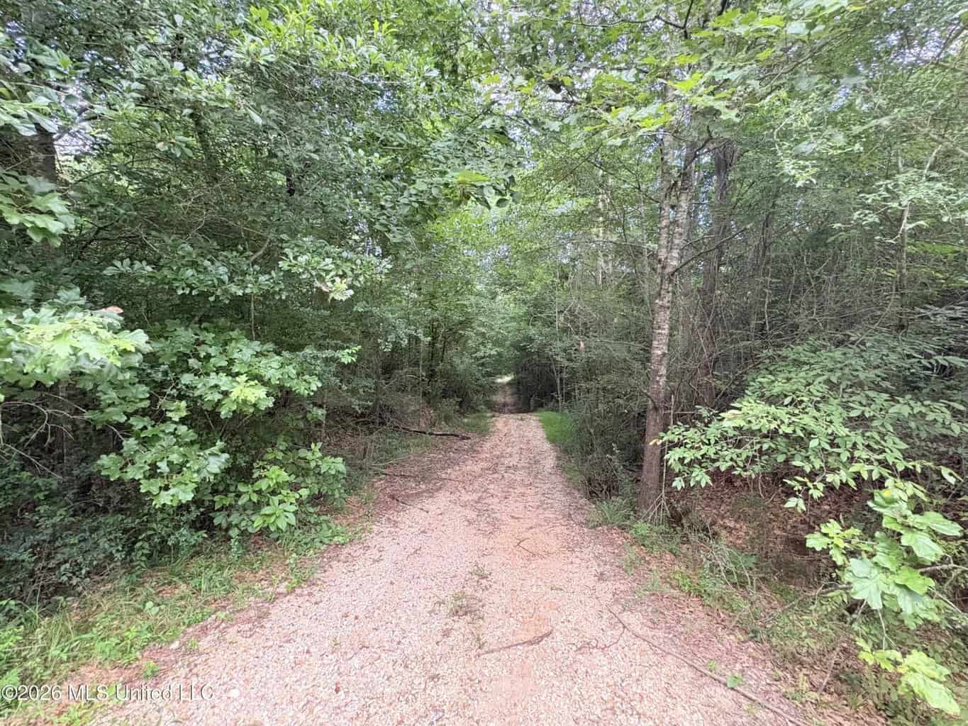 57 Acres Hunting Land for Sale in Gloster MS