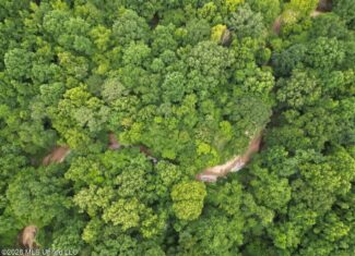 98± Acres in Natchez, MS on Second Creek
