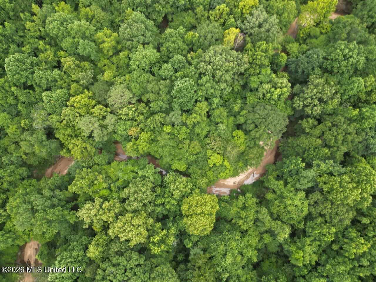 98± Acres in Natchez, MS on Second Creek