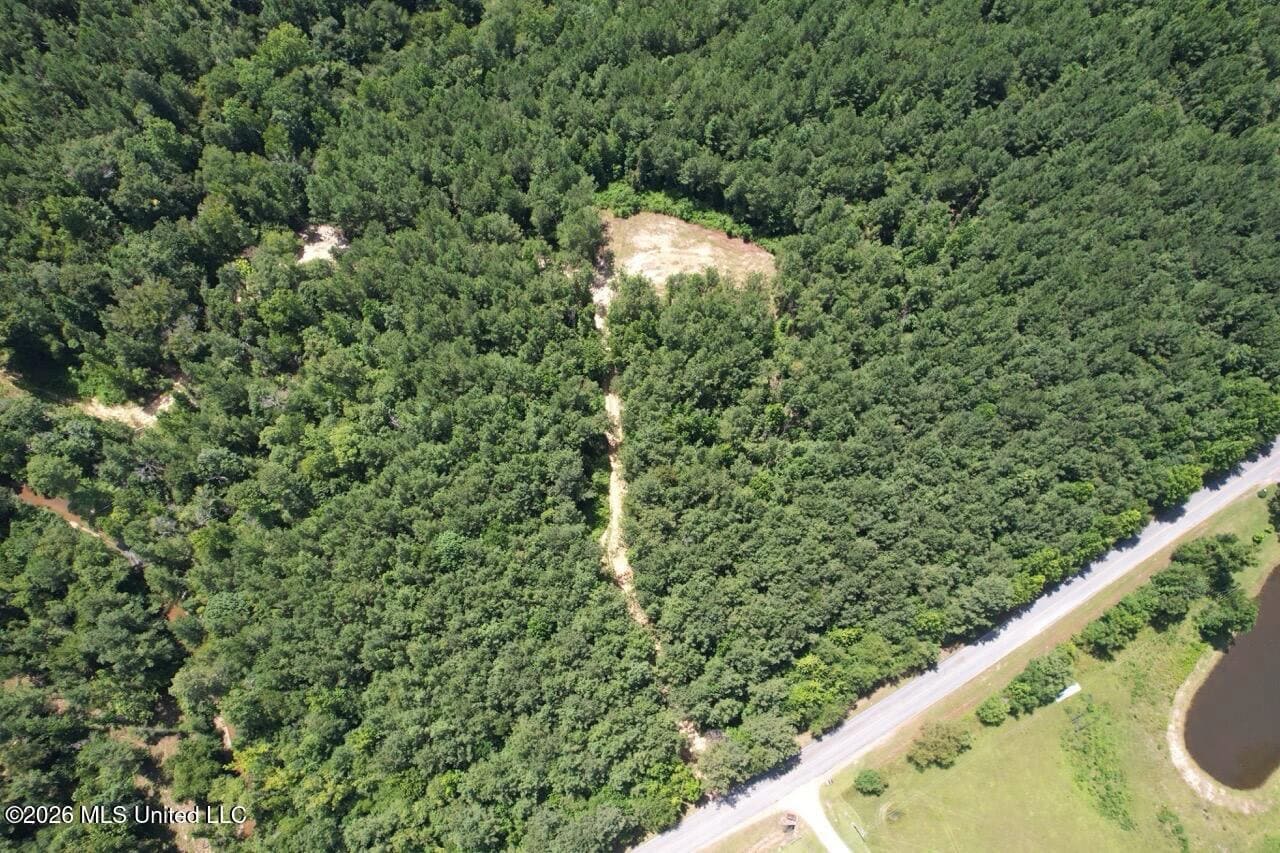 11± Acres in McCall Creek, MS with Creek Frontage