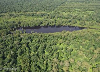 140± Acres in West Feliciana Parish, LA