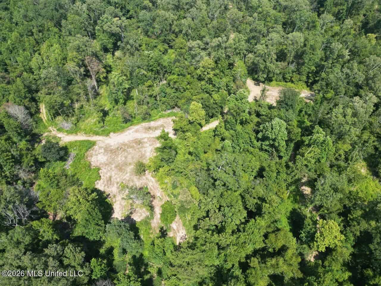 375± Acres in Jefferson County, MS Near Natchez Trace