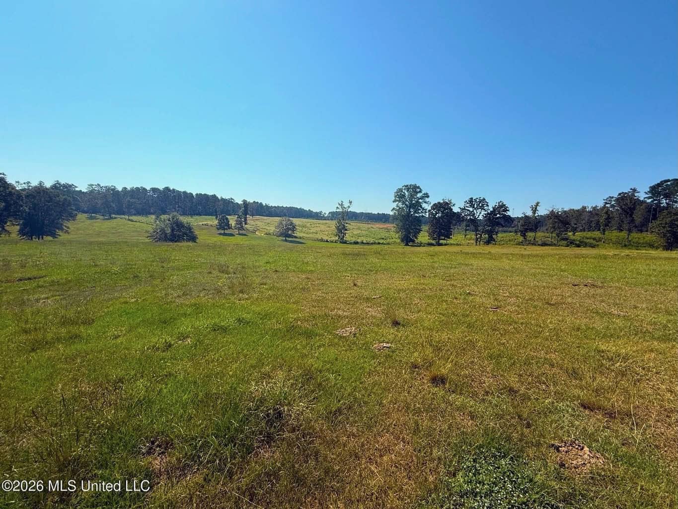 67 Acres of Rolling Pastureland and Timber