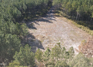 35 Acres for Sale in Pelahatchie, MS | Rankin County
