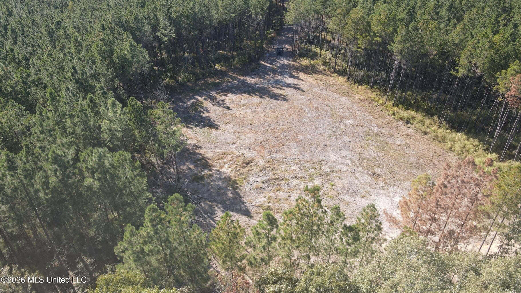 35 Acres for Sale in Pelahatchie, MS | Rankin County