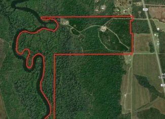 130 Acres on the Chipola River | Hunting, Fishing & Recreation