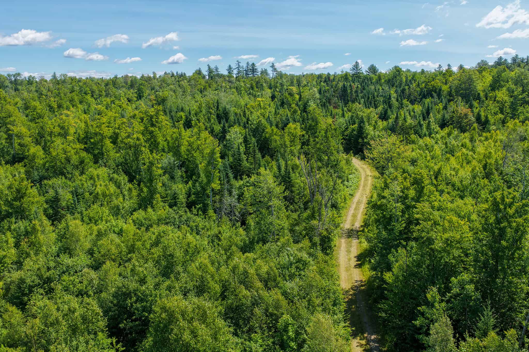 Your Maine Escape – 67 Acres with Cabin, Power, & ATV Access