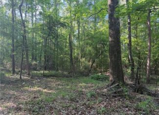 Hunting Property with Hwy and Creek Frontage