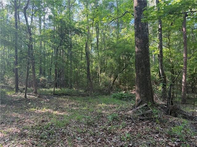 Hunting Property with Hwy and Creek Frontage