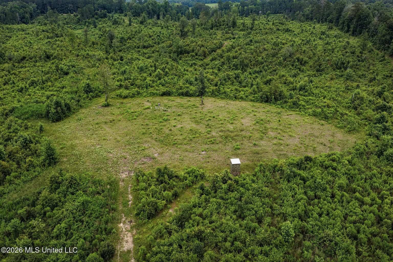 63.75 AC Amite County, MS Hunting Property