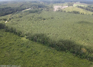 37 Acres for Sale in Morton, MS | Wooded Land