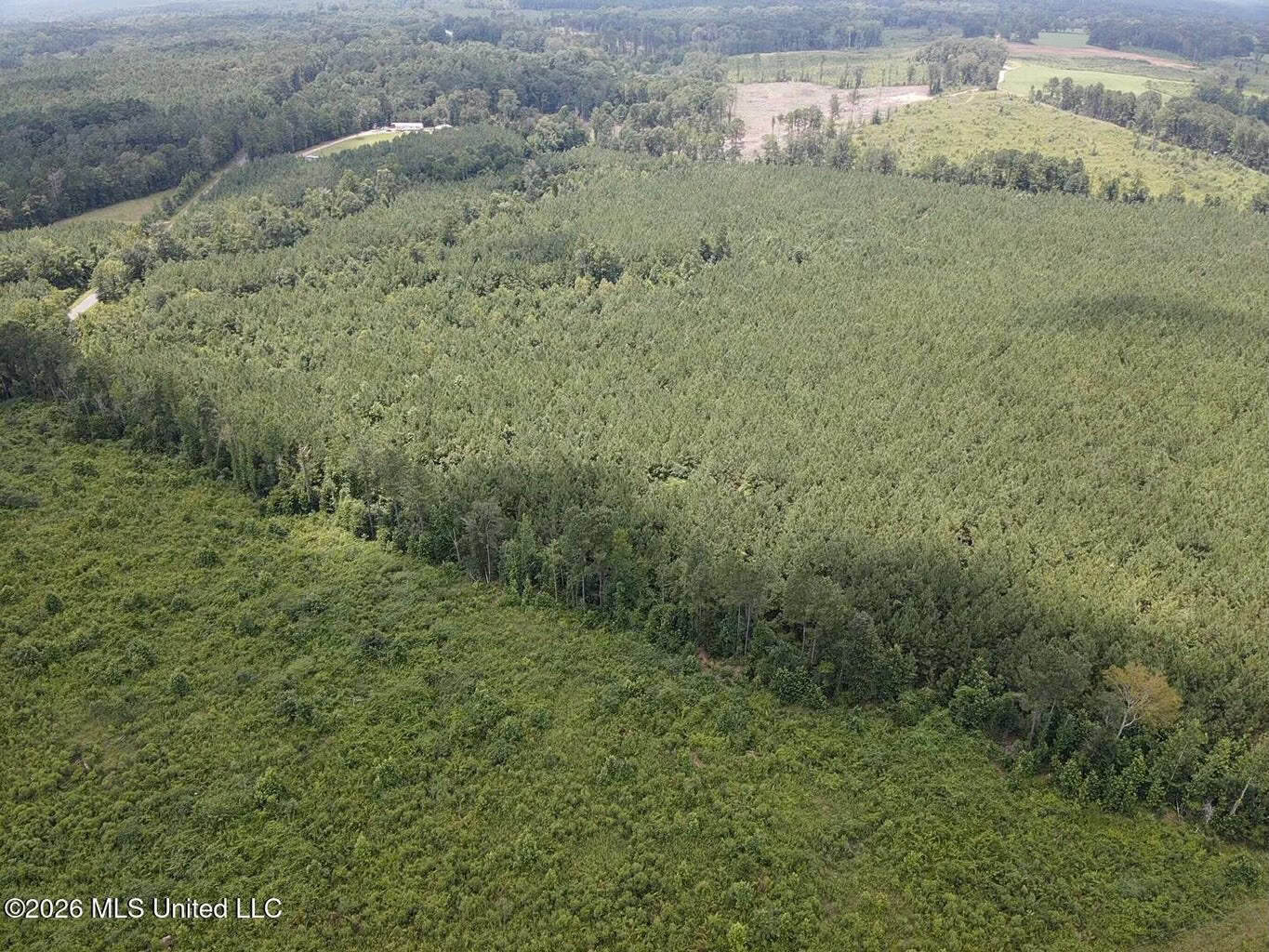37 Acres for Sale in Morton, MS | Wooded Land