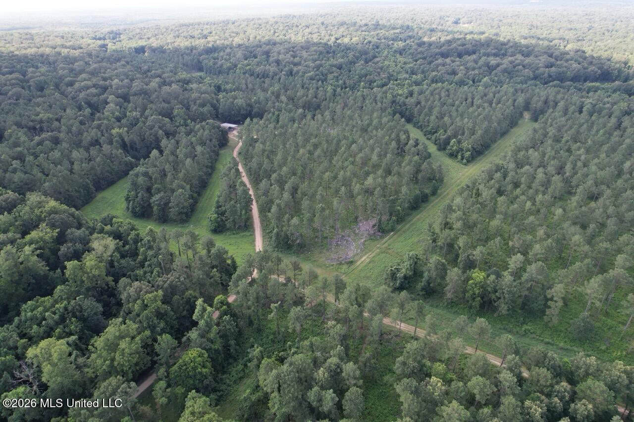 Wilkinson County, MS Hunting Club Membership