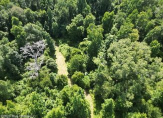 45± Acres in Aimwell, LA with Ford Creek Frontage