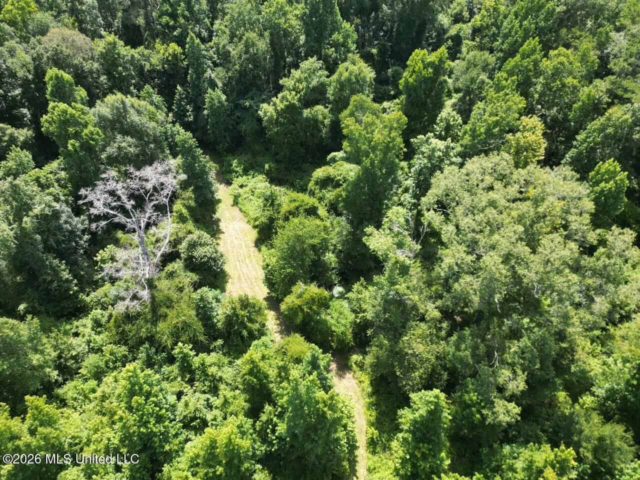 45± Acres in Aimwell, LA with Ford Creek Frontage