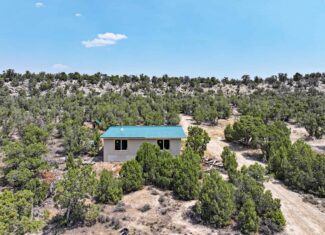 Cabin on 71 Acres in DeBeque Colorado