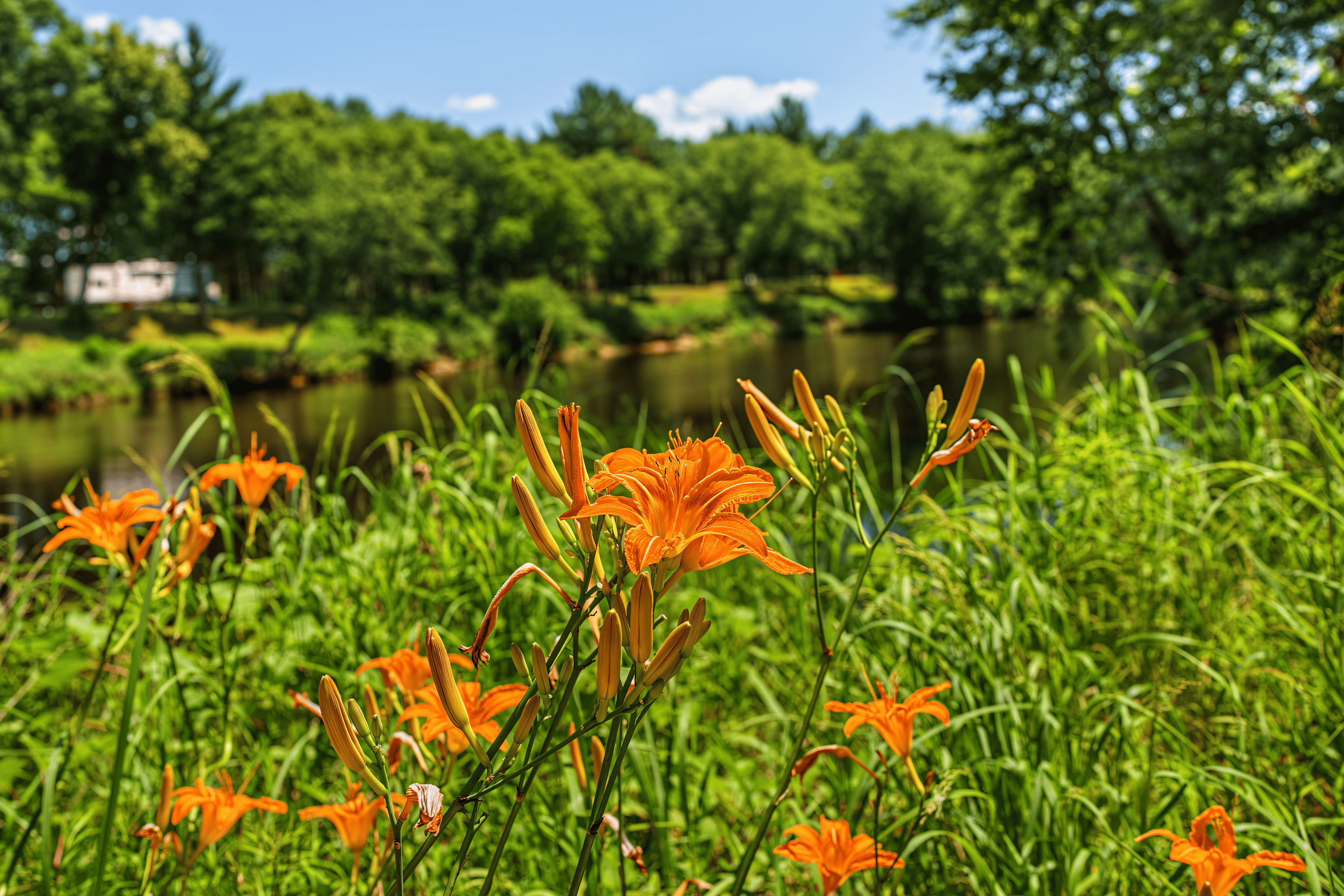 235± ACRE BLACK RIVER WATERFRONT & RECREATIONAL ESTATE