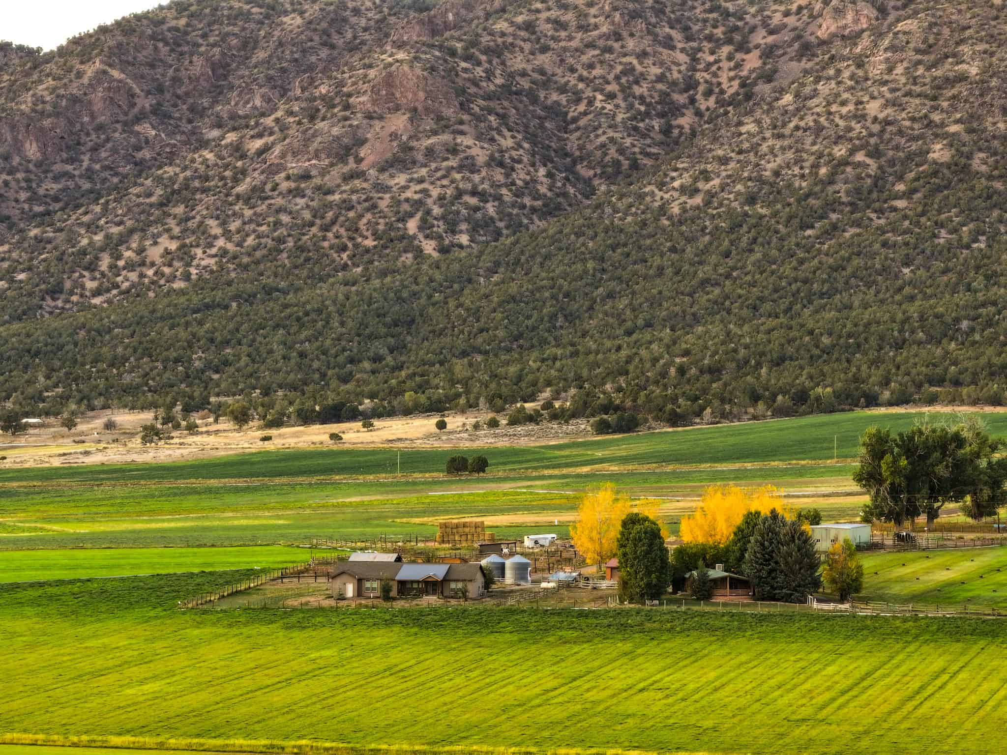 Colorado Horse Property with Multiple Homes & Irrigated Land