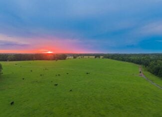 East TX Cattle Ranch & Hunting Land, Marshall Tx For Sale