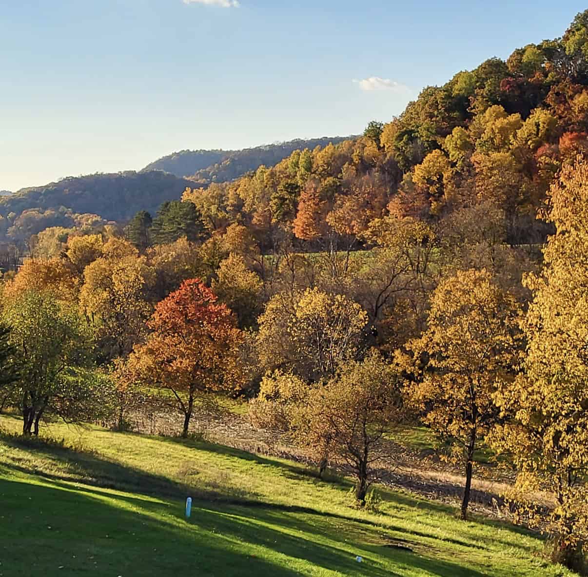 Luxury Vernon County Estate on 141 Acres with Organic Farmland, Views & Hunting