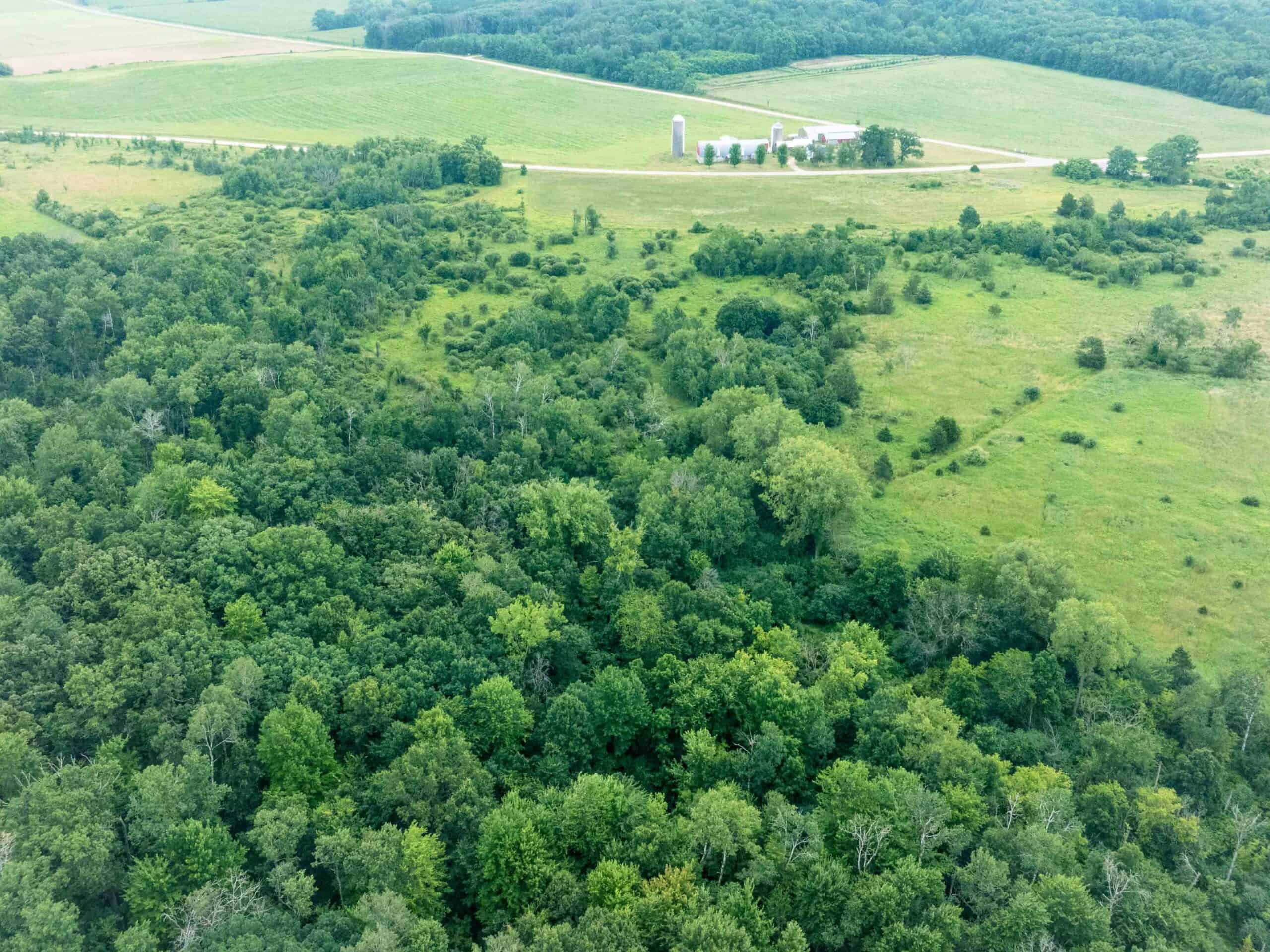 Town of Lewiston Columbia County WI 86+/- Acre Farm brought to you at Online Only Auction
