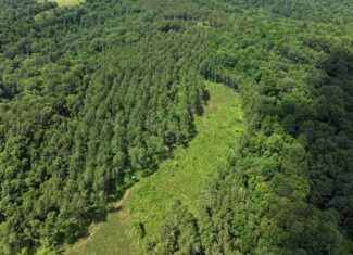 Secluded Turnkey Hunting Property
