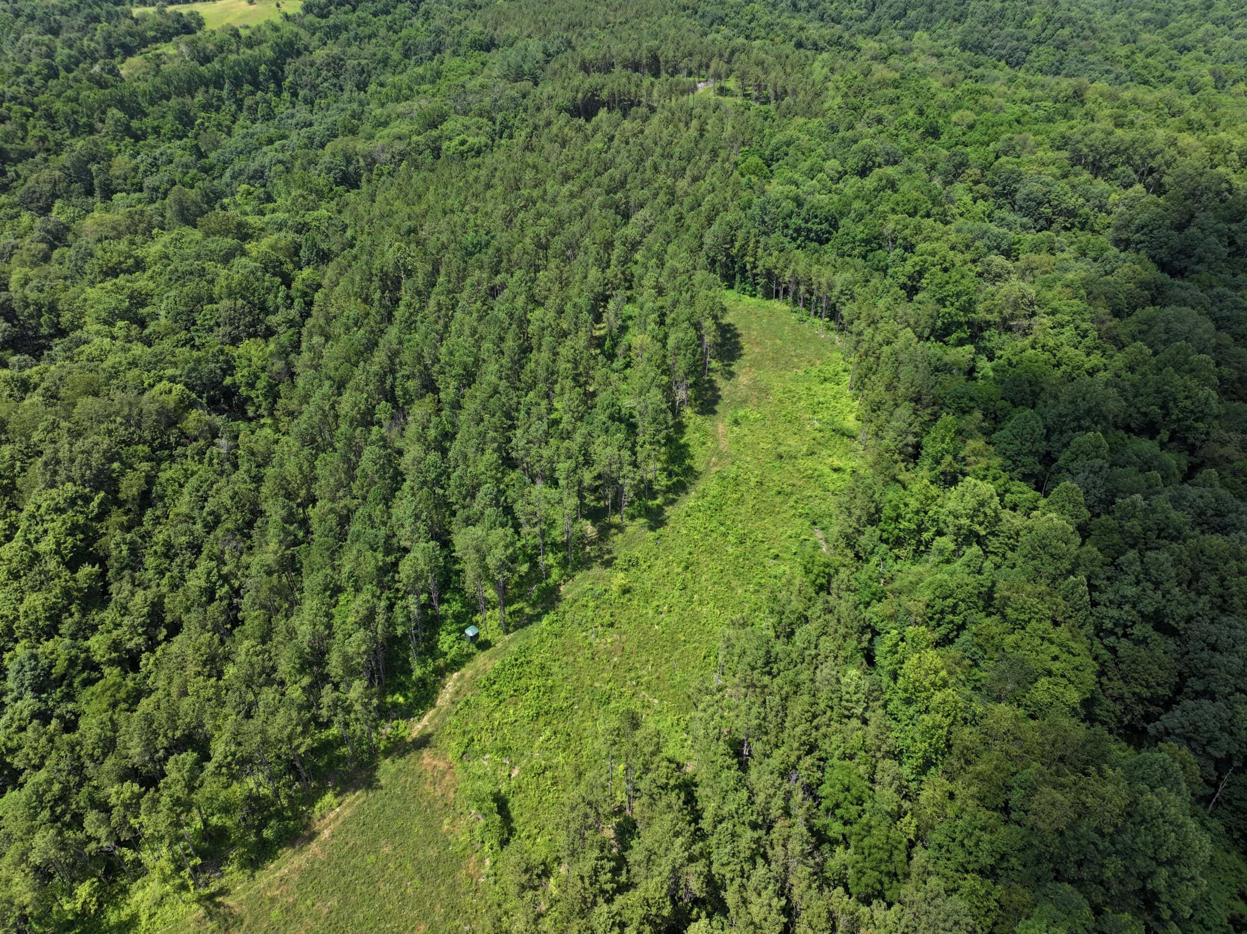 Secluded Turnkey Hunting Property