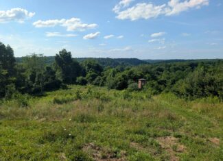 Dream Turnkey Morgan County Hunting Property