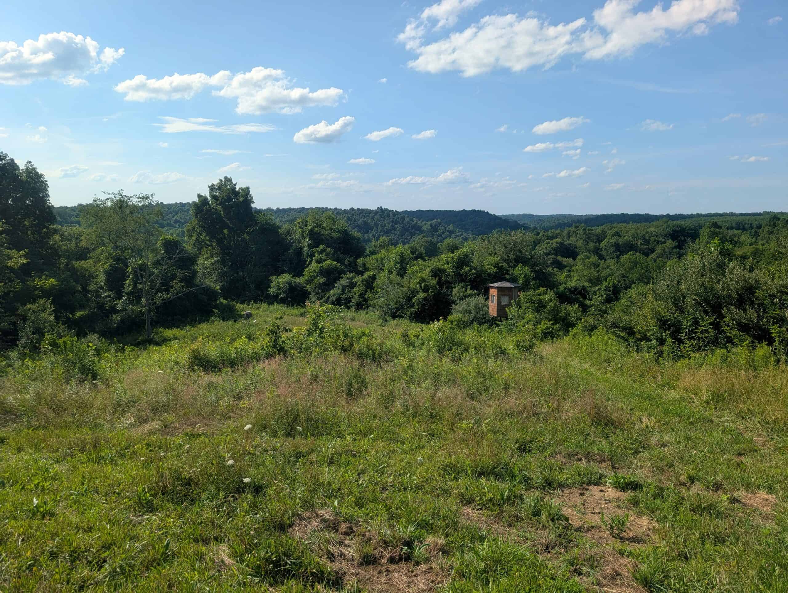 Dream Turnkey Morgan County Hunting Property