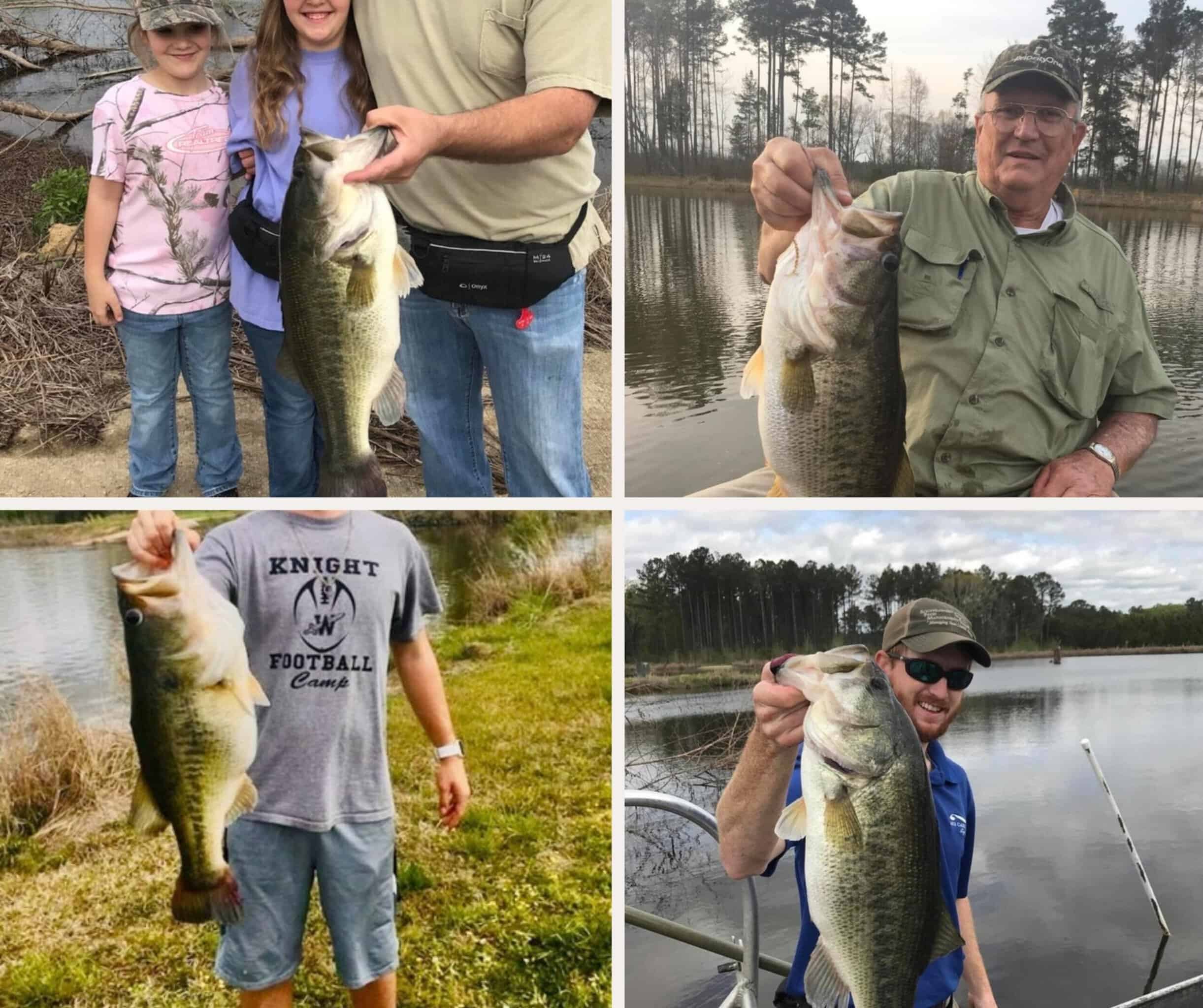 Trophy Bass Fishing and Hunting Property Starkville MS