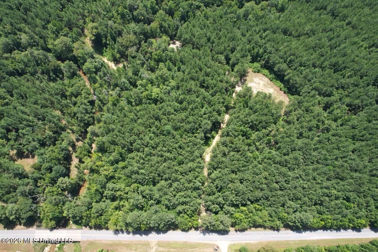 11± Acres in McCall Creek, MS with Creek Frontage