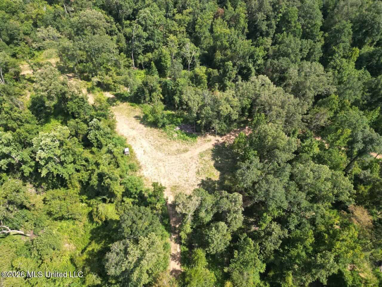 375± Acres in Jefferson County, MS Near Natchez Trace