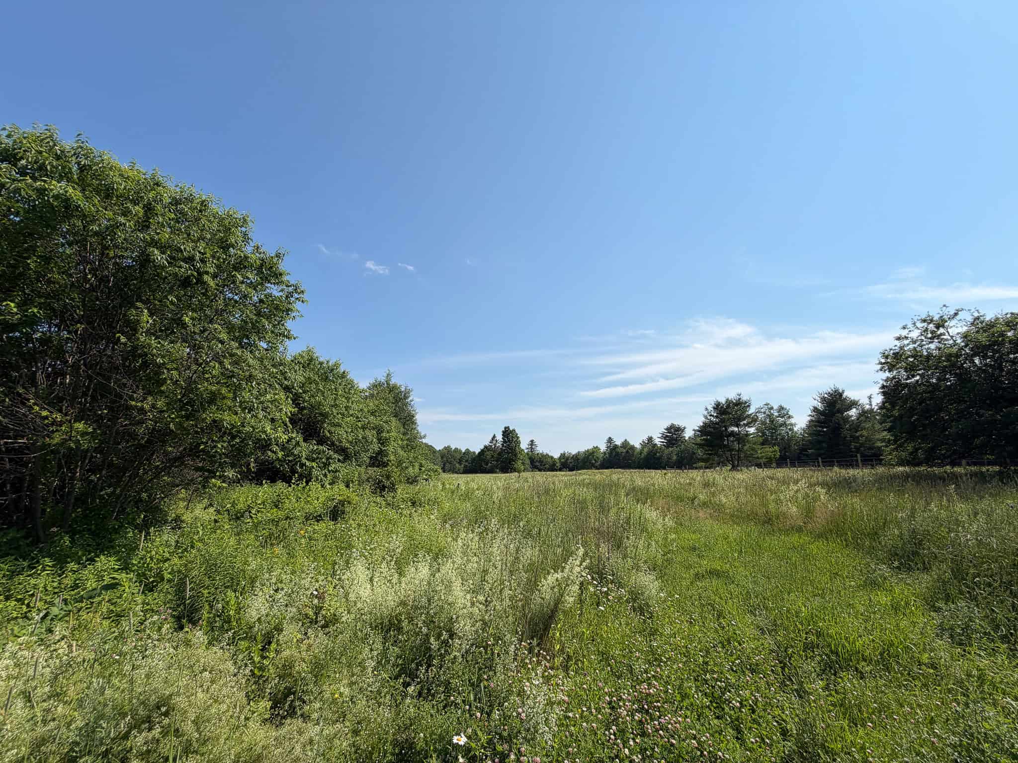 90 Acre Parcel with Potential – Corinth, Maine