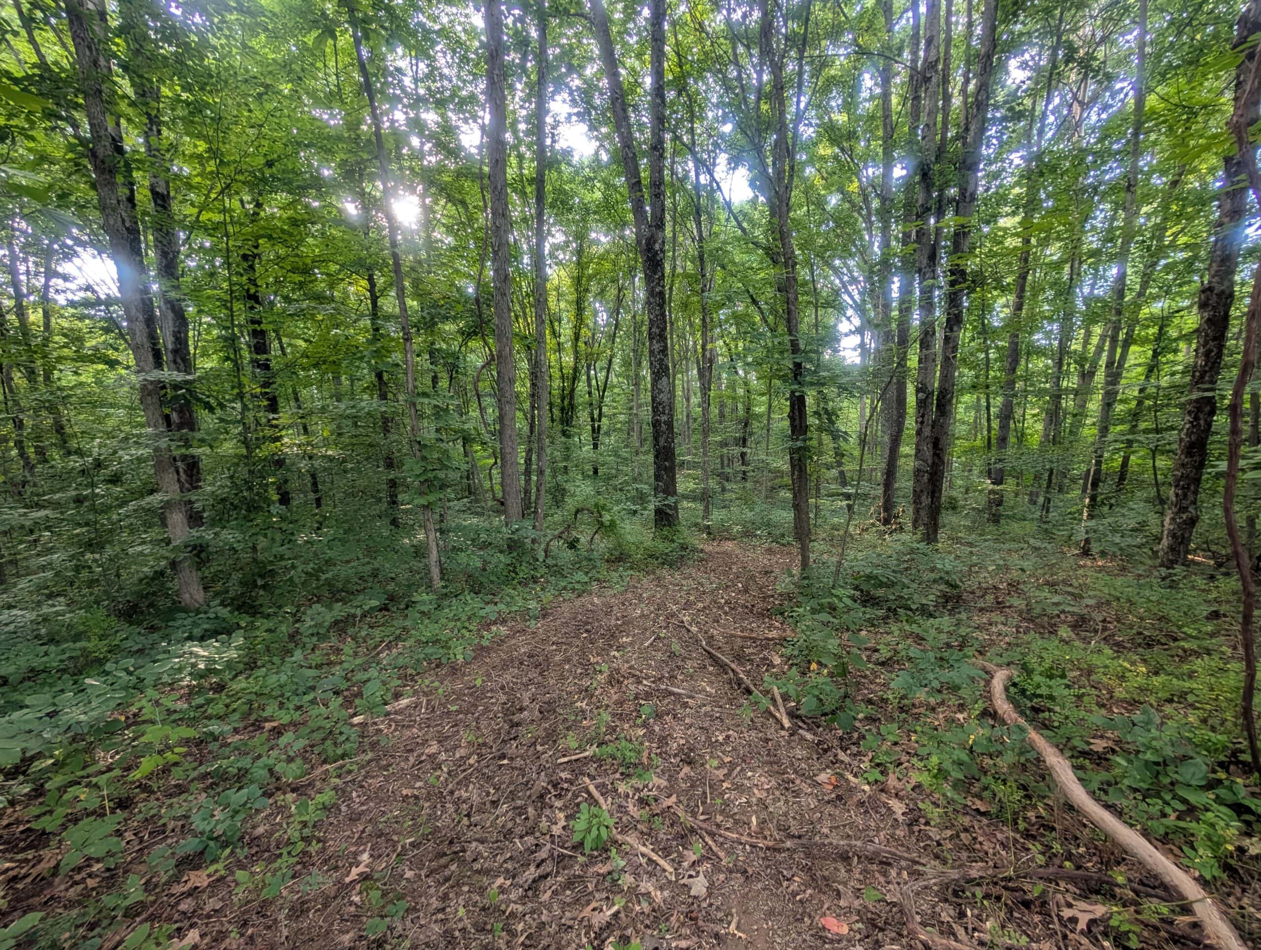 Camper Ready Recreational Tract in Noble County