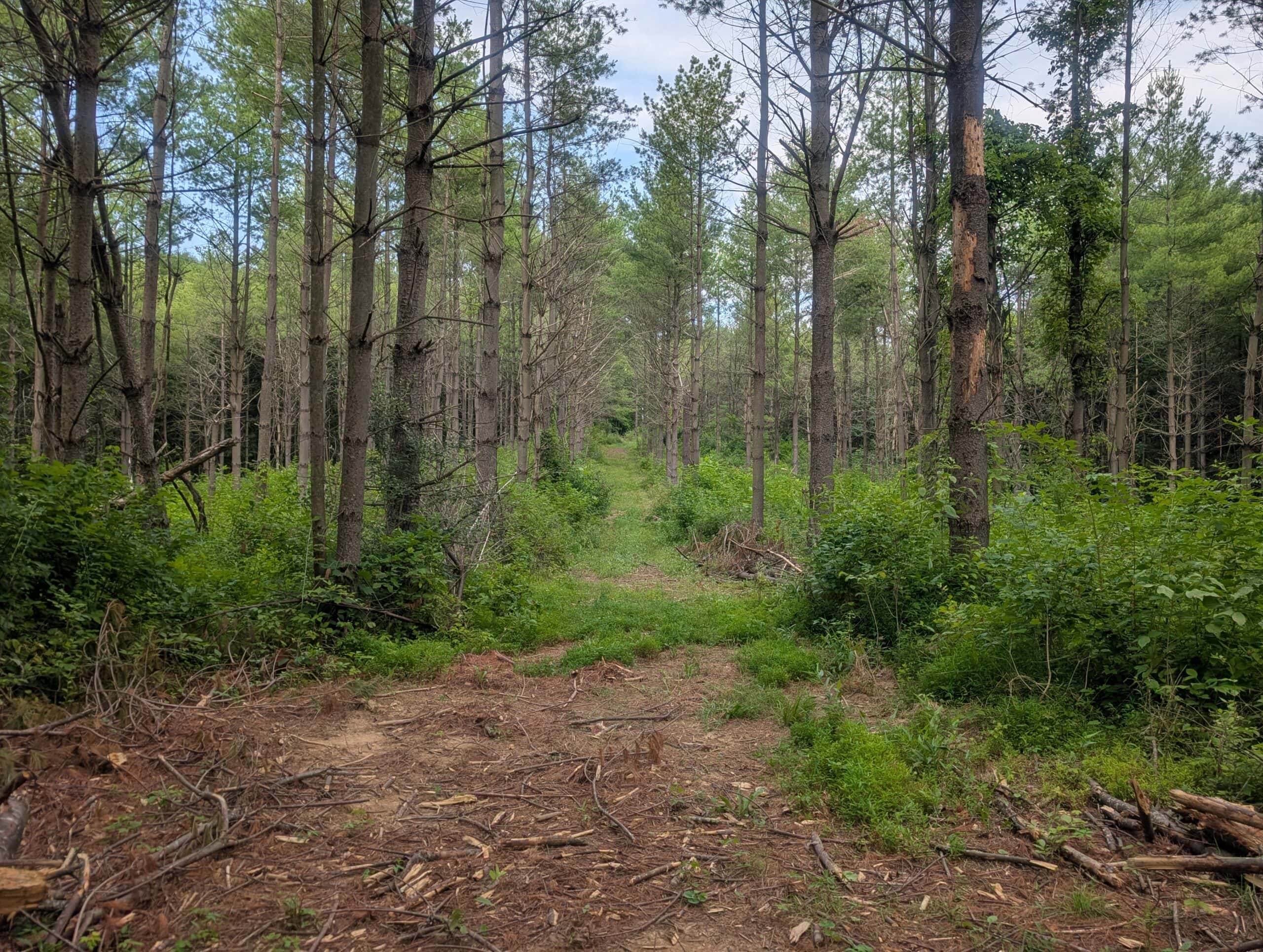 Noble County Investment and Hunting