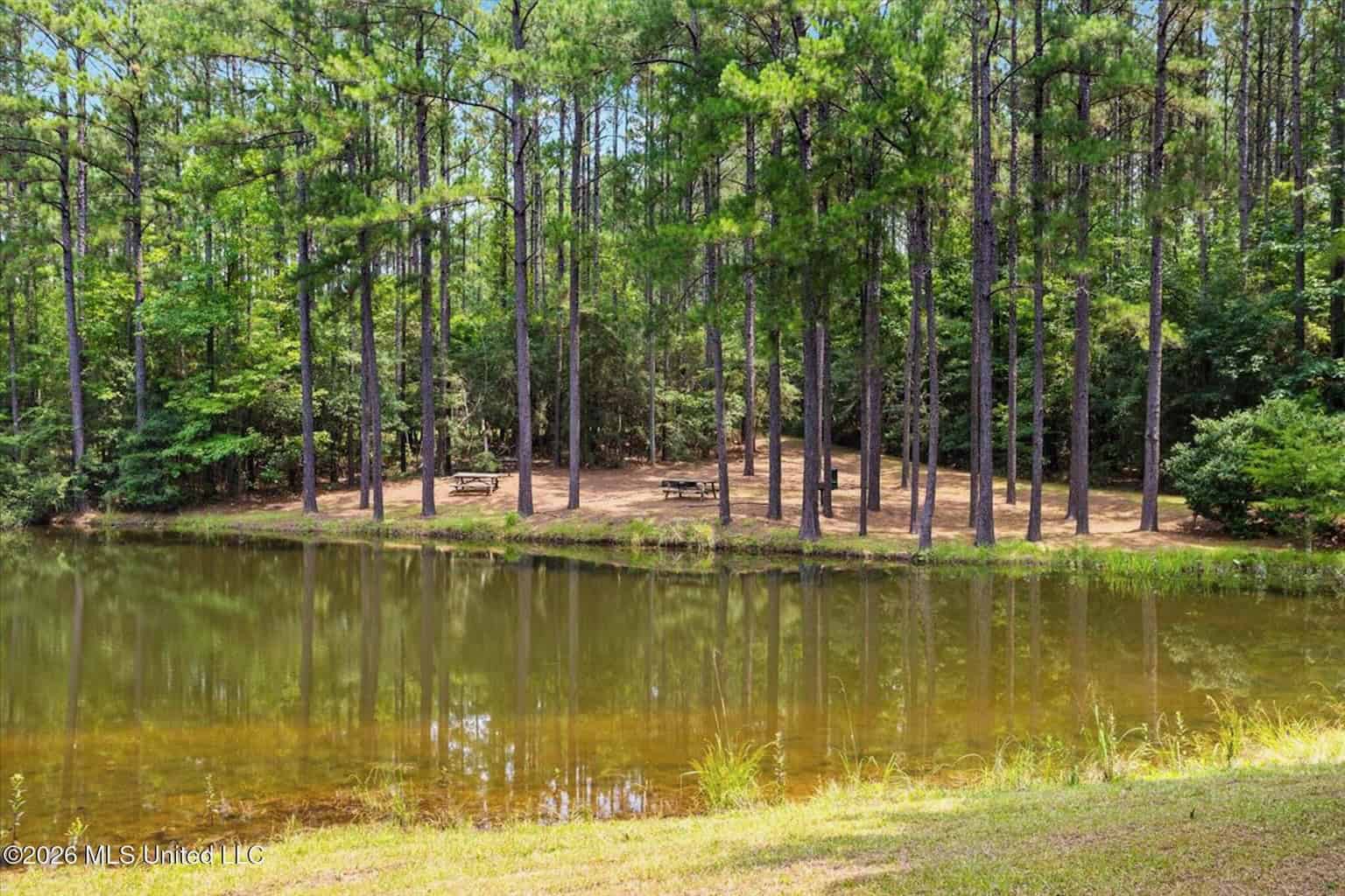 Log Cabin on 25 Acres with Ponds in Southwest MS