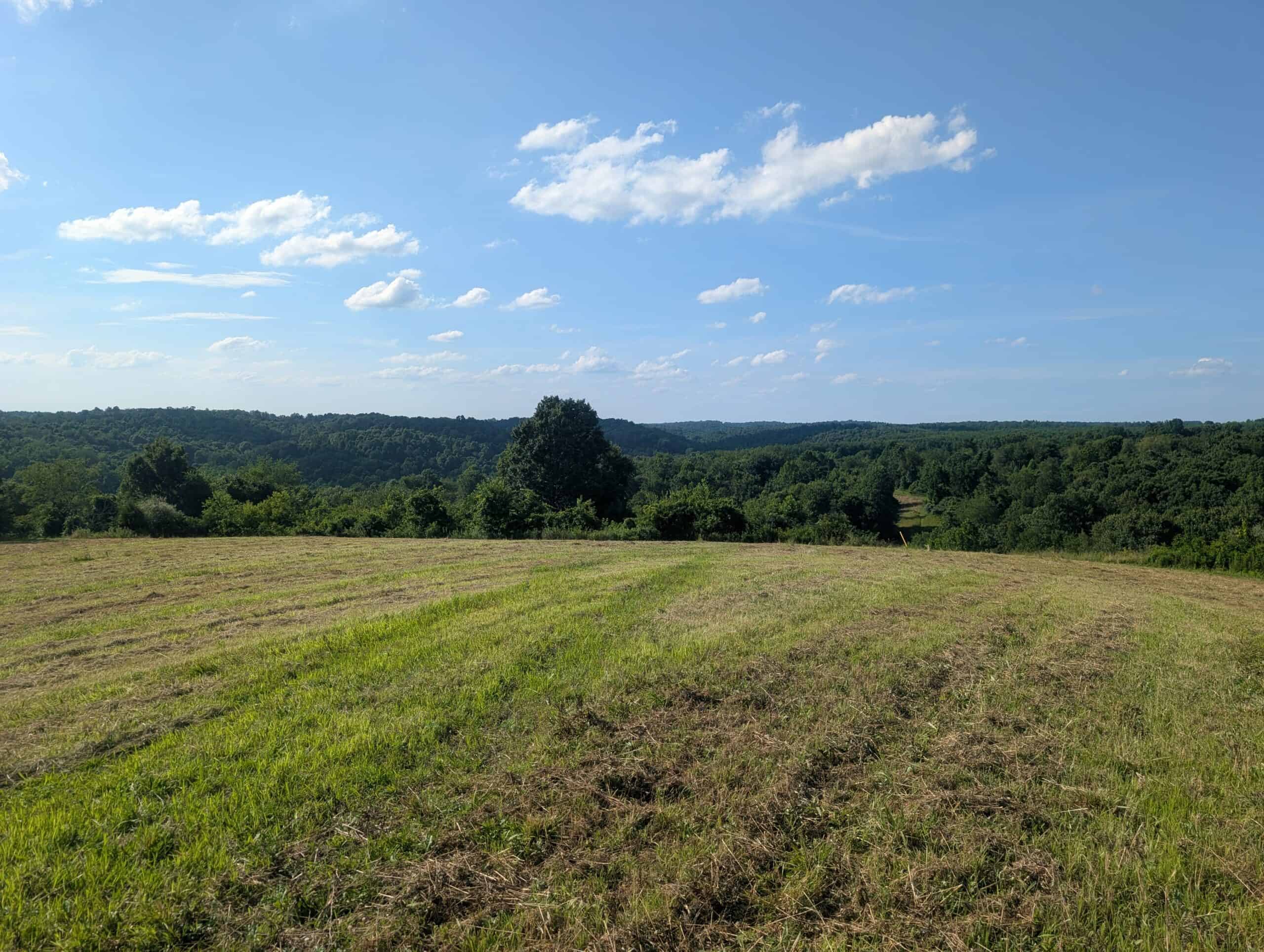 Dream Turnkey Morgan County Hunting Property