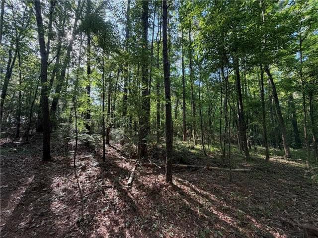 Hunting Property with Hwy and Creek Frontage