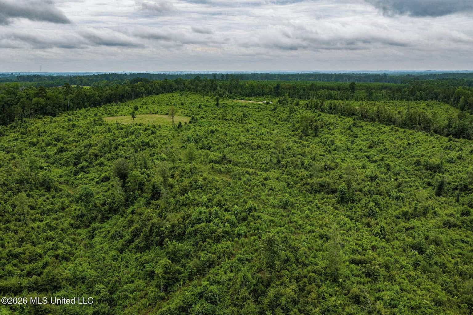 63.75 AC Amite County, MS Hunting Property