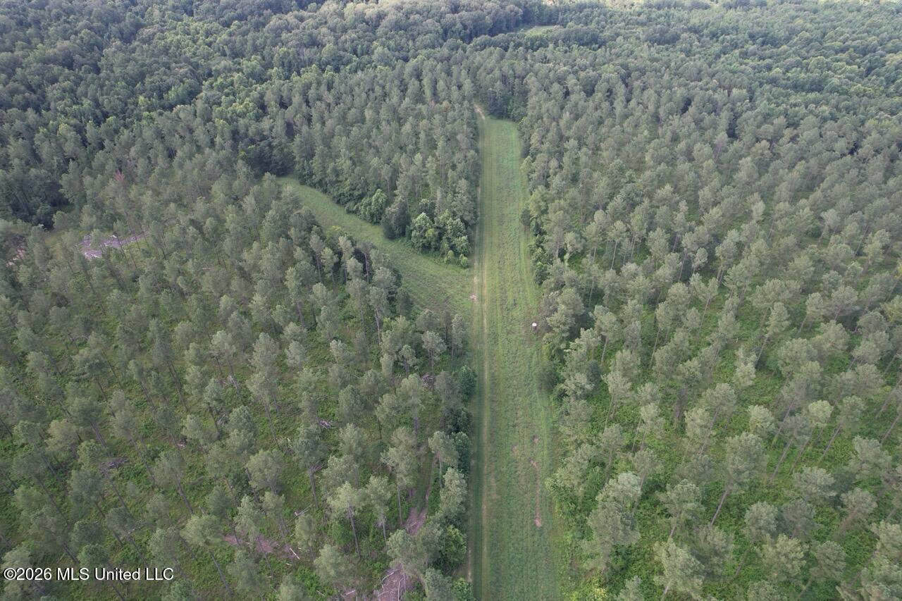 Wilkinson County, MS Hunting Club Membership