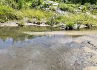130 Acres on the Chipola River | Hunting, Fishing & Recreation