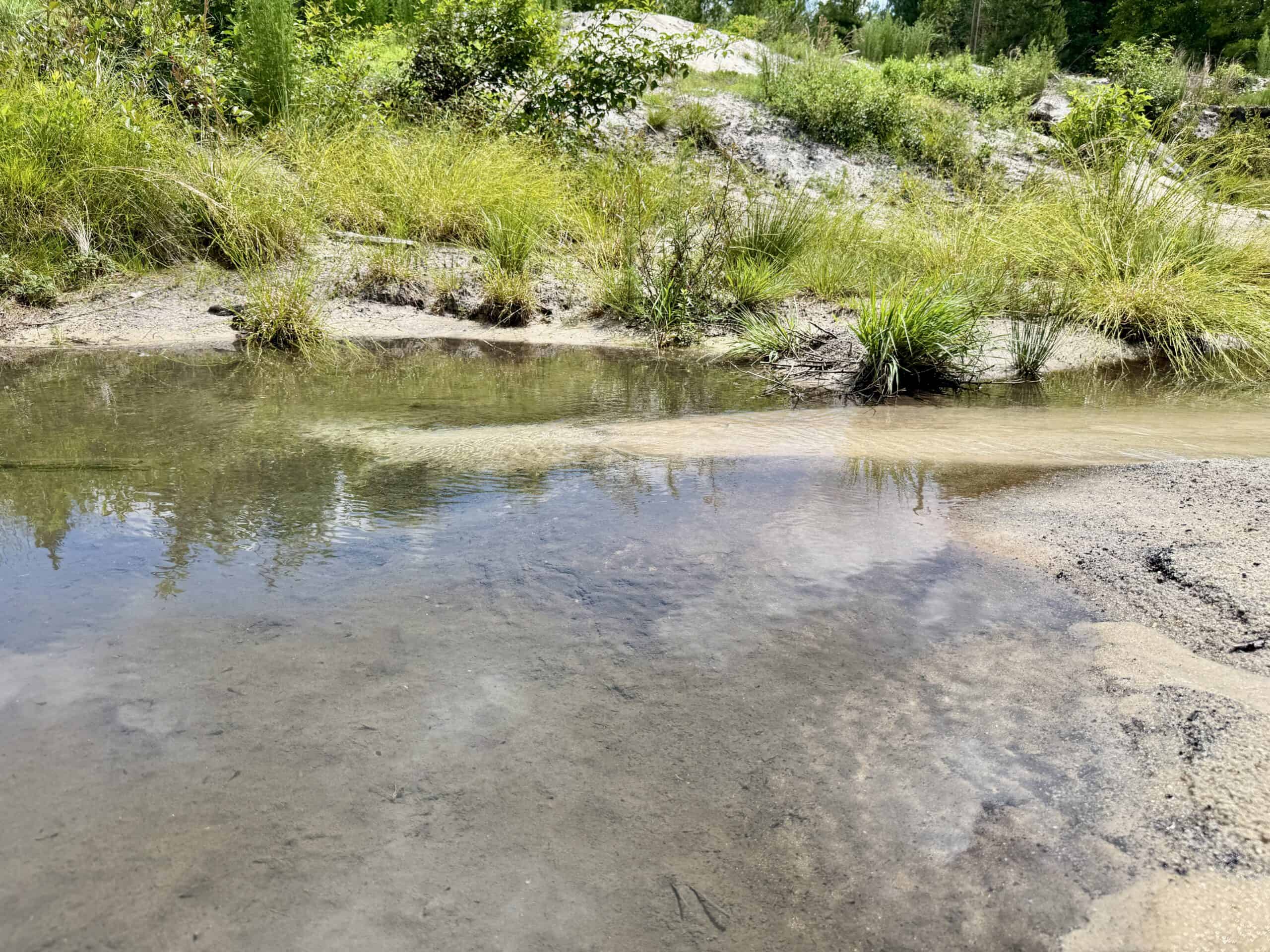 130 Acres on the Chipola River | Hunting, Fishing & Recreation